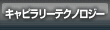 Maintenance Free