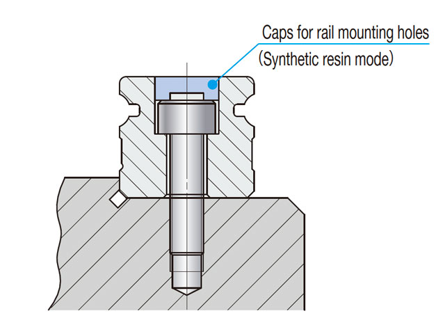 Caps for rail mounting holes /F