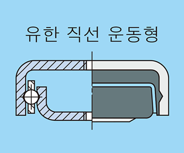 유한 직선 운동
